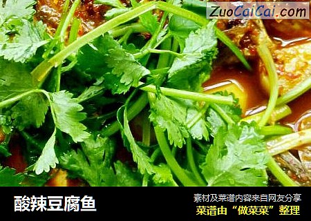 酸辣豆腐鱼