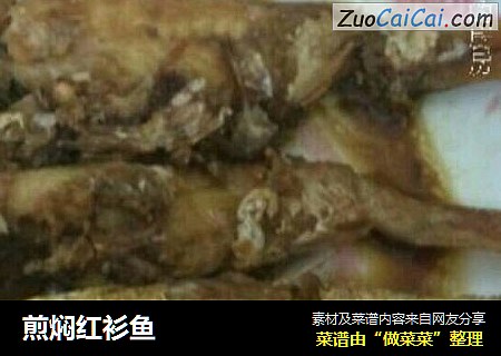 煎焖红衫鱼