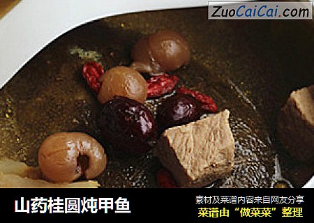 山药桂圆炖甲鱼