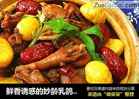 鲜香诱惑的妙龄乳鸽-中秋宴席板栗烧乳鸽