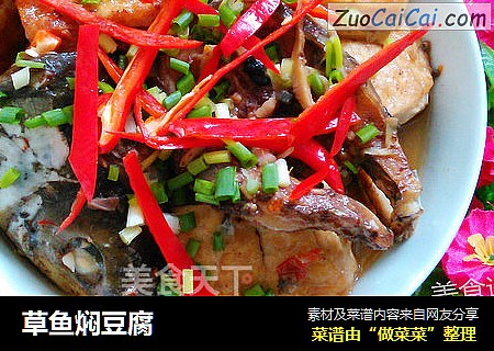 草鱼焖豆腐