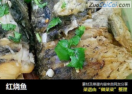 红烧鱼