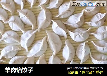 羊肉馅饺子