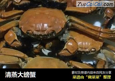 清蒸大螃蟹