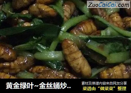 黄金绿叶~金丝蛹炒小白菜