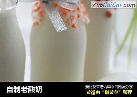 自制老酸奶
