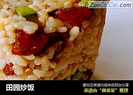 田园炒饭