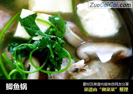 鲫鱼锅