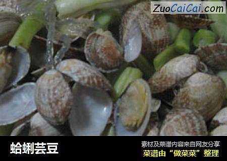蛤蜊芸豆
