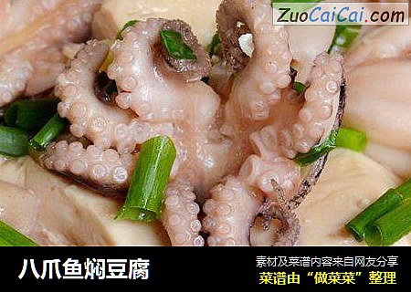八爪鱼焖豆腐