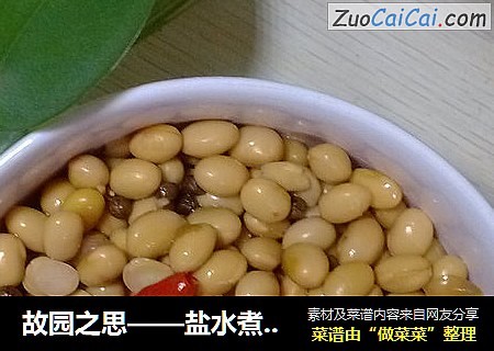 故园之思——盐水煮黄豆