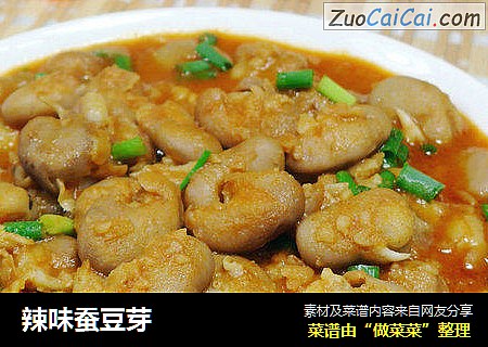 辣味蚕豆芽