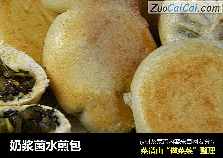 奶浆菌水煎包