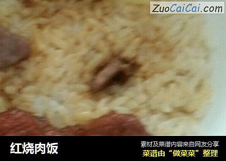 红烧肉饭