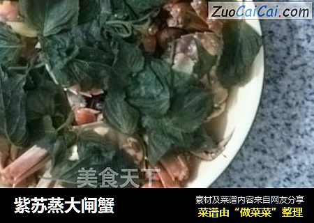 紫苏蒸大闸蟹