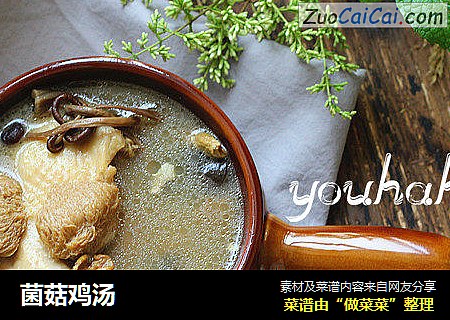 菌菇鸡汤