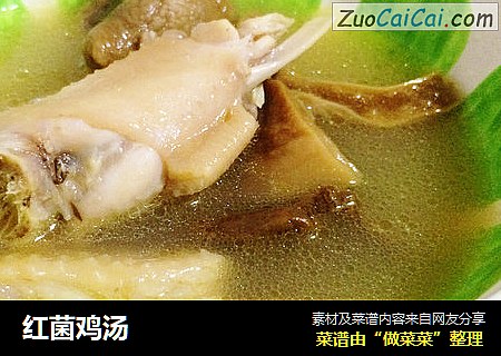 红菌鸡汤