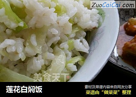 莲花白焖饭