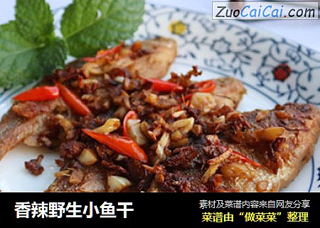 香辣野生小鱼干