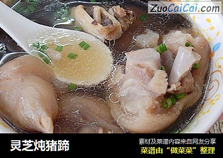 灵芝炖猪蹄