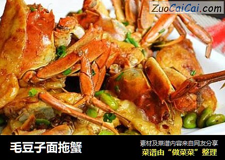 毛豆子面拖蟹