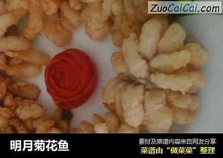 明月菊花鱼