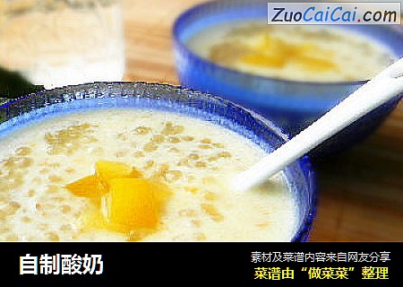 自制酸奶