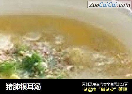 猪肺银耳汤