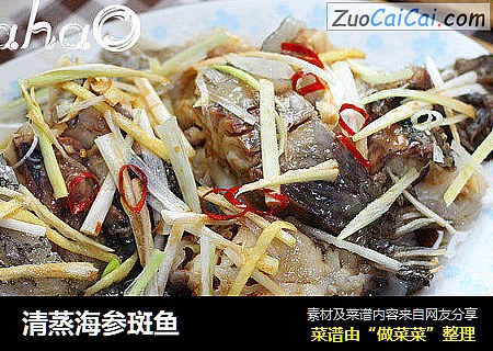 清蒸海参斑鱼