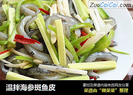 温拌海参斑鱼皮