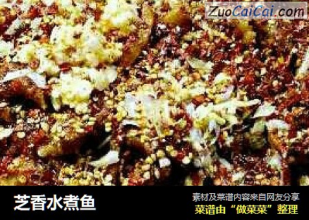 芝香水煮鱼