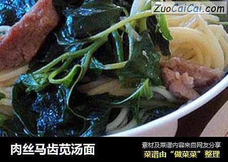 肉丝马齿苋汤面
