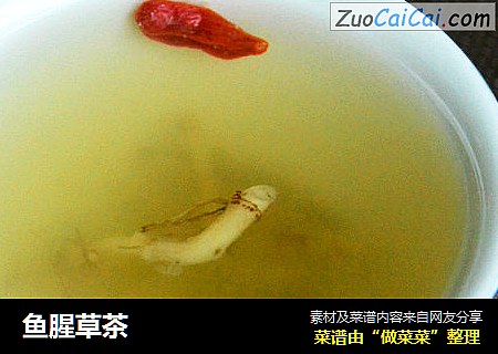 鱼腥草茶