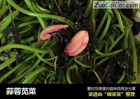 蒜蓉苋菜