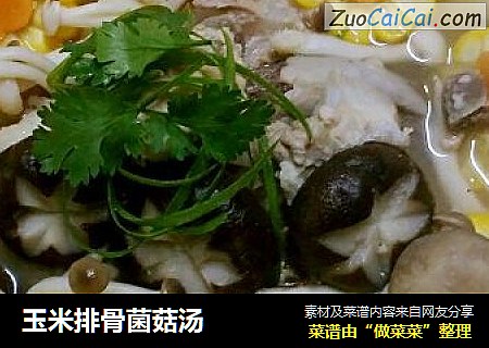 玉米排骨菌菇汤