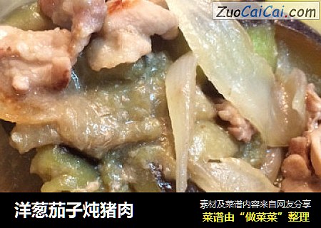 洋葱茄子炖猪肉