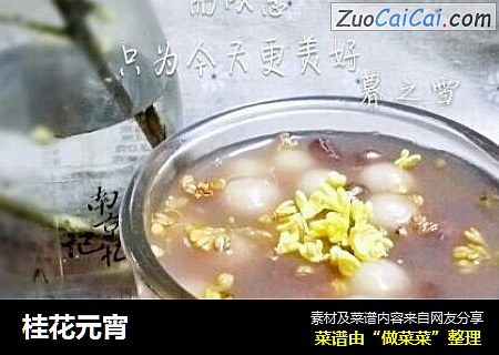 桂花元宵