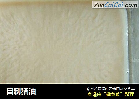 自制猪油