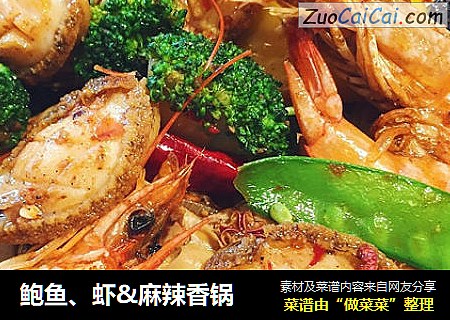 鲍鱼、虾&麻辣香锅
