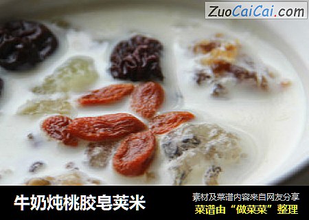 牛奶炖桃胶皂荚米