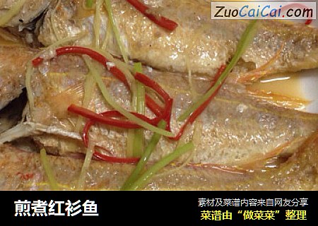 煎煮红衫鱼