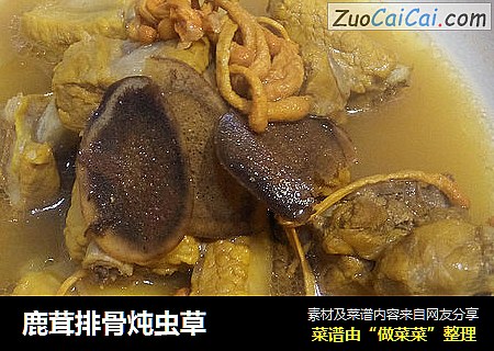 鹿茸排骨炖虫草