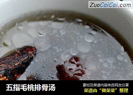 五指毛桃排骨汤