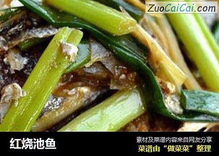 红烧池鱼