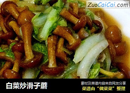 白菜炒滑子蘑