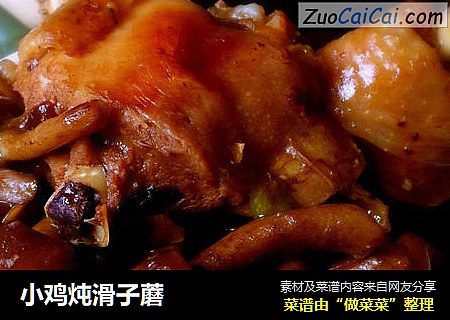 小鸡炖滑子蘑