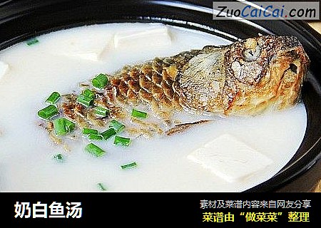 奶白鱼汤