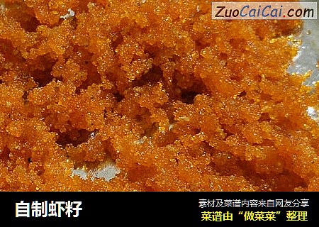 自制虾籽