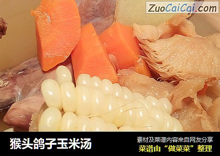 猴头鸽子玉米汤