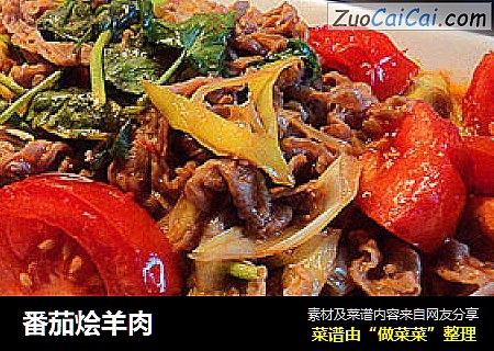 番茄烩羊肉